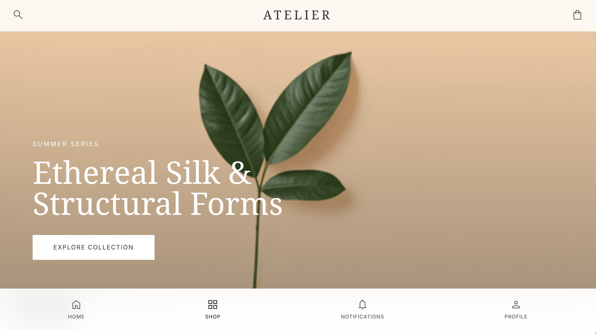 Ethereal Silk - Custom Web Development Template