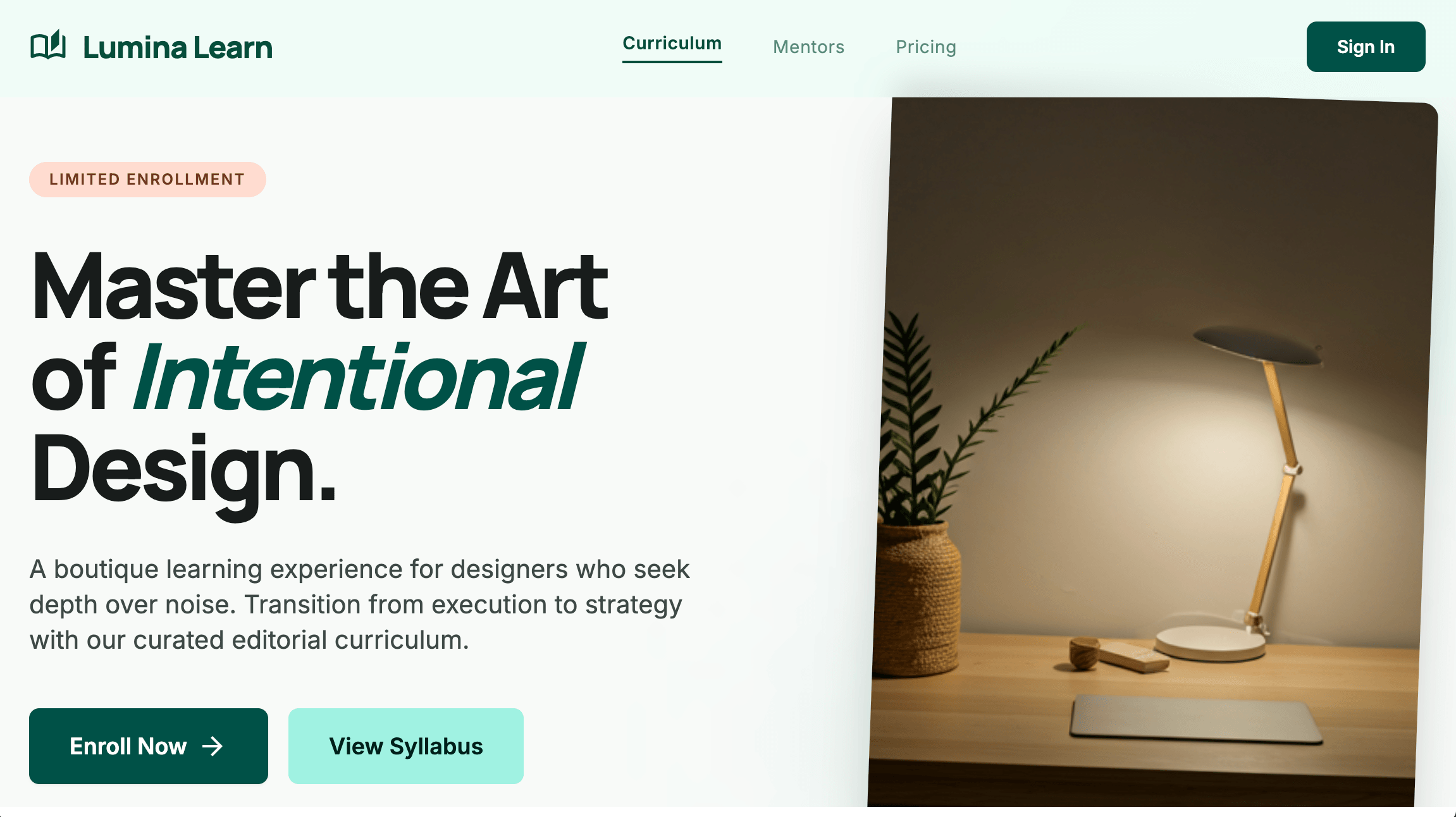Lumina Learn - Custom Web Development Template